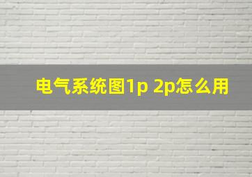 电气系统图1p 2p怎么用